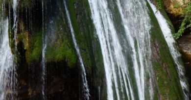 Экскурсия из Гурзуфа: Сквозь тайны Демерджи к водопаду Джур-Джур фото 5731