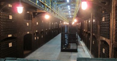Экскурсия Дегустация в Массандре фото 5815 Экскурсия Дегустация в Массандре фото 5815