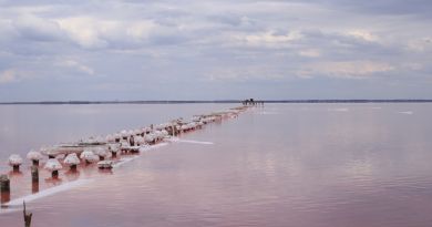 Экскурсии в Озеро Сасык-Сиваш (розовое озеро) из Партенита 2024