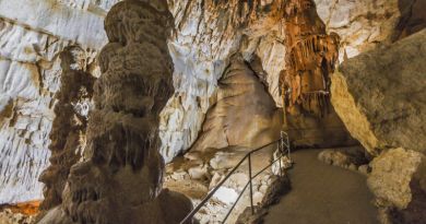 Экскурсия из Гурзуфа: Пещеры Чатырдага (Мраморная и Эмине-Баир-Хосар) фото 6021