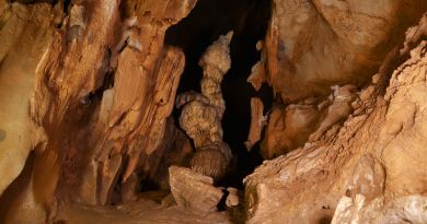 Экскурсия из Гурзуфа: Пещеры Чатырдага (Мраморная и Эмине-Баир-Хосар) фото 5844